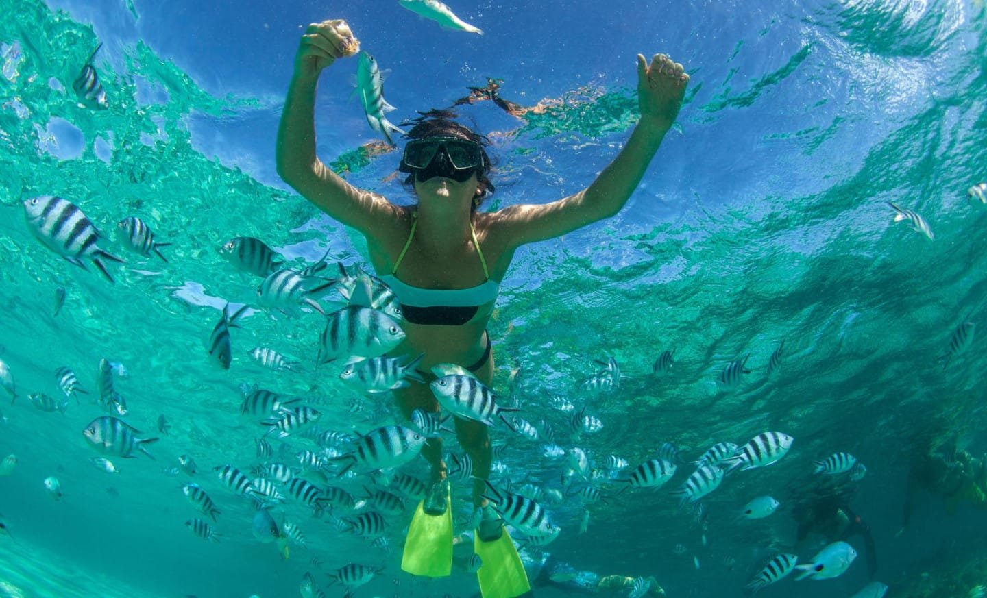 Snorkeling st lucia