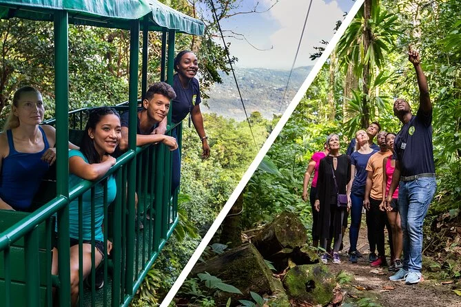 St Lucia Bird-Watching Tour